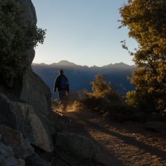sequoia-sunrise-4