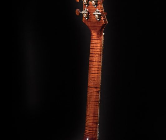 Lichty Archtop Tenor Guitar G110