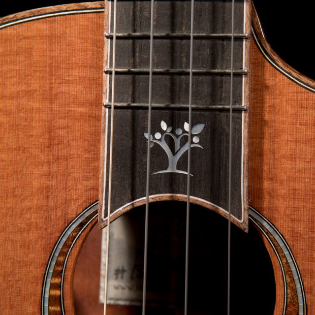 Luthiers-for-a-cause-Lichty-Ukulele-7