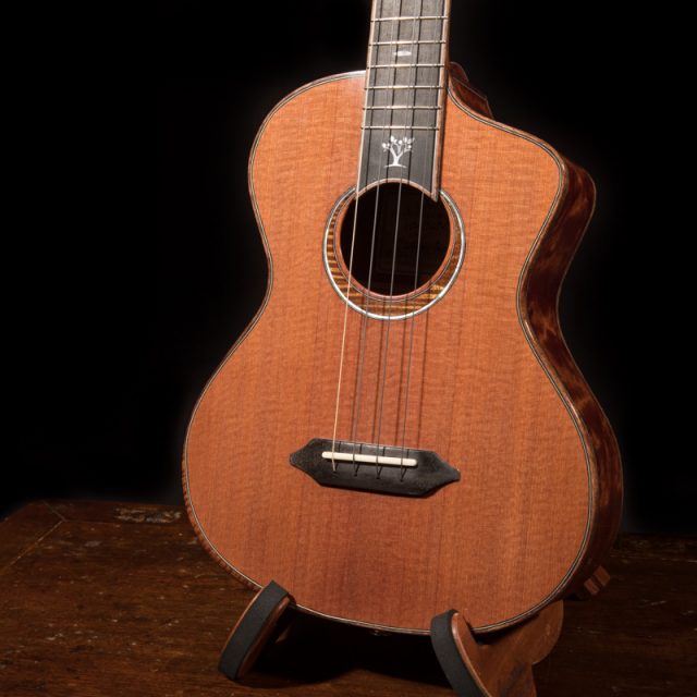 Lichty-Ukulele-Luthiers-for-a-cause