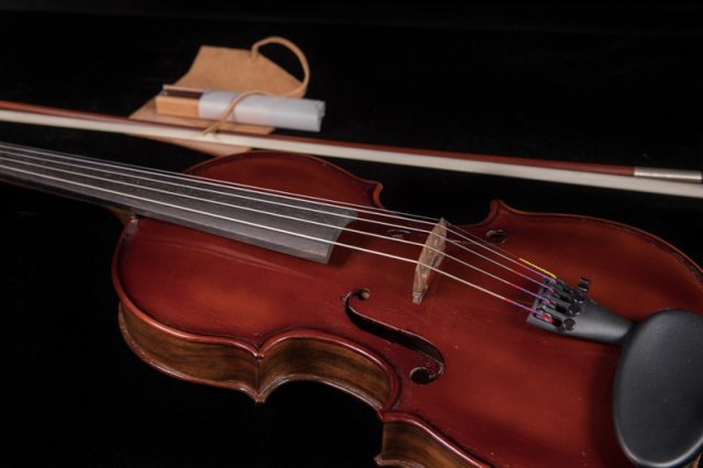 Lichty-Custom-Fiddle-F1-10
