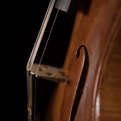 Lichty-Custom-5-string-fiddle-f3-9