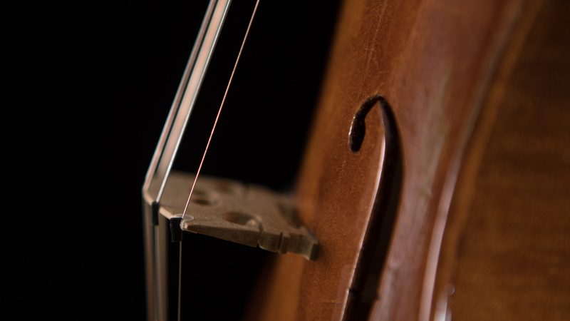 Lichty-Custom-5-string-fiddle-f3-9