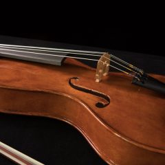 Lichty-Custom-5-string-fiddle-f4