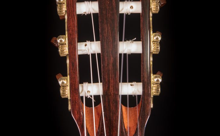 Lichty-Custom-Guitar-G125