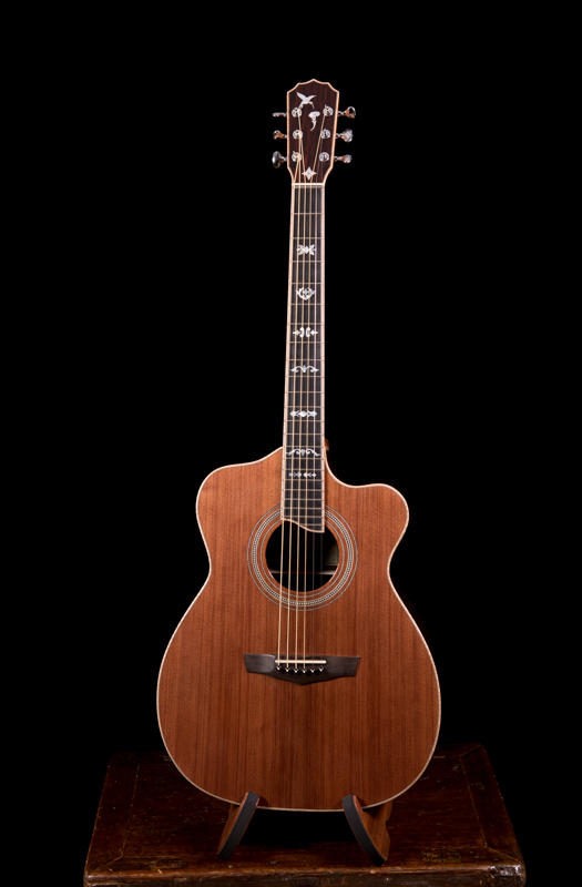 Lichty-Custom-Guitar-G128